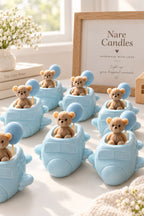 Teddy pilota