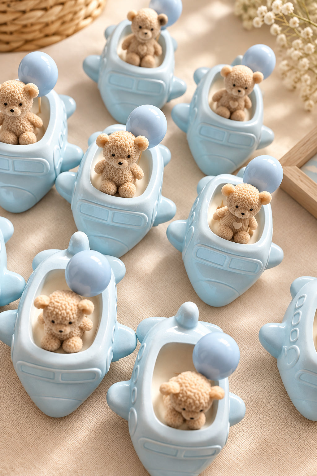 Teddy pilota