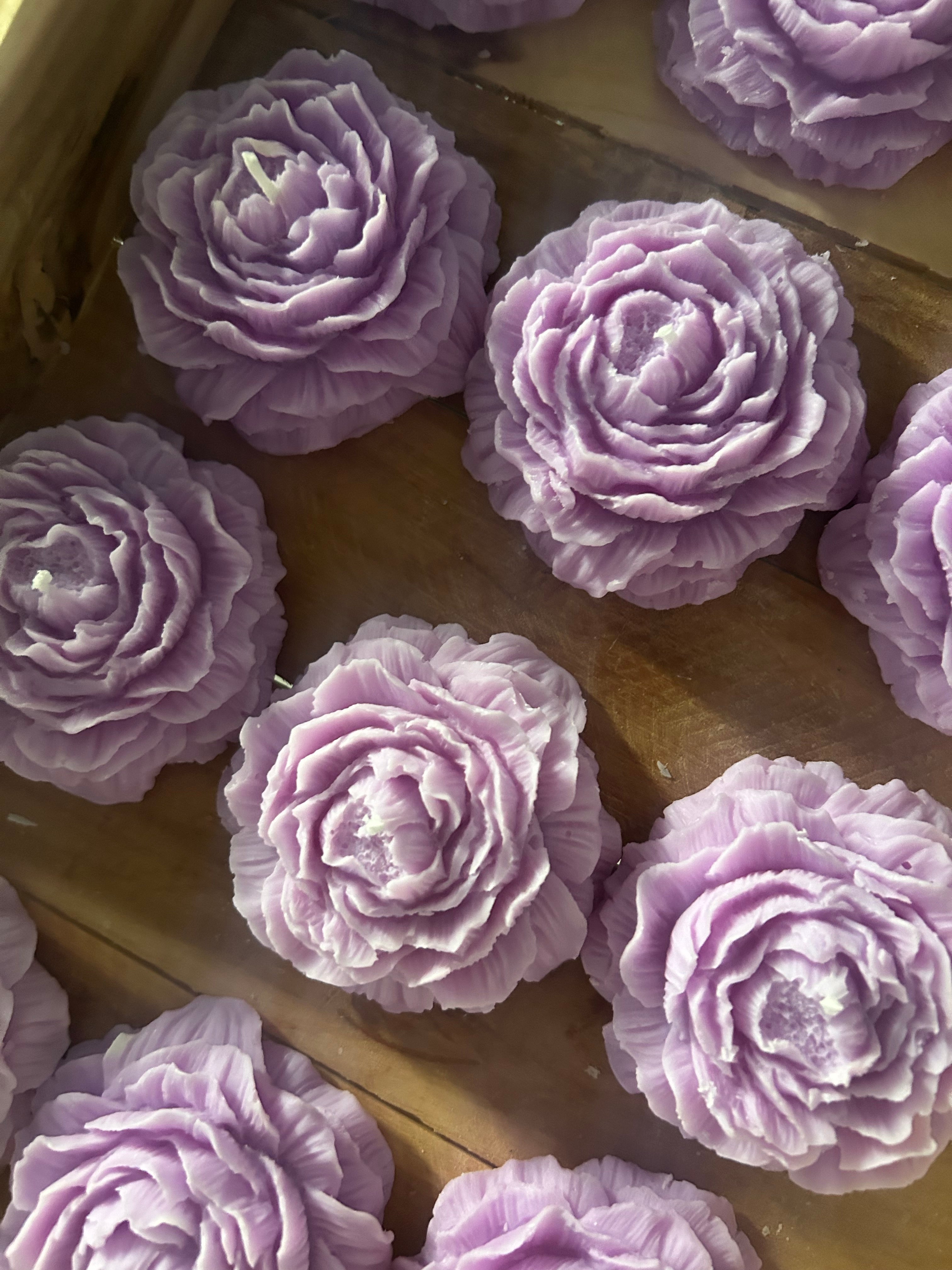 Mini peonia
